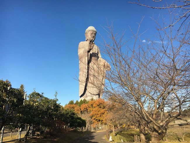 世界最大の立像大仏・牛久大仏に行ってきました。大仏三昧の旅行記です。<br />過度な期待をもたずに訪れたものの、これが意外にもなかなか楽しめたもので、ご興味のある方は一度訪れてみるのも良いと思います。<br /><br />これだけのスケールのものがいったい何の目的で作られたのか?と疑問が湧き調べてみたのですが、はっきりとした答えは見つかりませんでした。ただ、立案~完成までがちょうどバブル期にかぶっており、そういう背景なのかしらと邪推し納得しておきます。<br /><br />