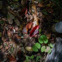 紅葉の秋田「八幡平・玉川温泉」＿4.湯瀬渓谷・後生掛温泉そして帰途に