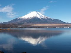 愛犬ハルといく1dayとりっぷ　山中湖・修善寺・西伊豆