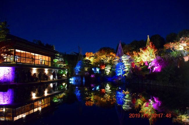 2019 目白庭園紅葉ライトアップに行ってみた