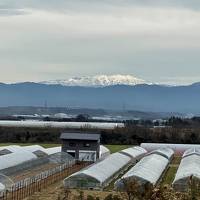 ChapⅡ,29th 2days driving to Post Office in FUKUI,without sightseeing.