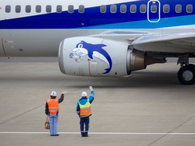 &quot;大きなものを見よう&quot;シリーズ<br /><br />飛行機が間近で見られる近い場所はどこだろうと、、いちばん近いのは福島空港でした。<br /><br />福島空港で離陸する全日空便を眺め、道の駅へ行き、空港公園を歩き遊び、お昼は白河らーめん、南湖の湖畔で新しくできたカフェーを冷やかして、、、の、<br /><br />曇天にめげず休日ドライブの1日旅行記、<br /><br />福島空港と福島空港公園、編です。<br /><br />