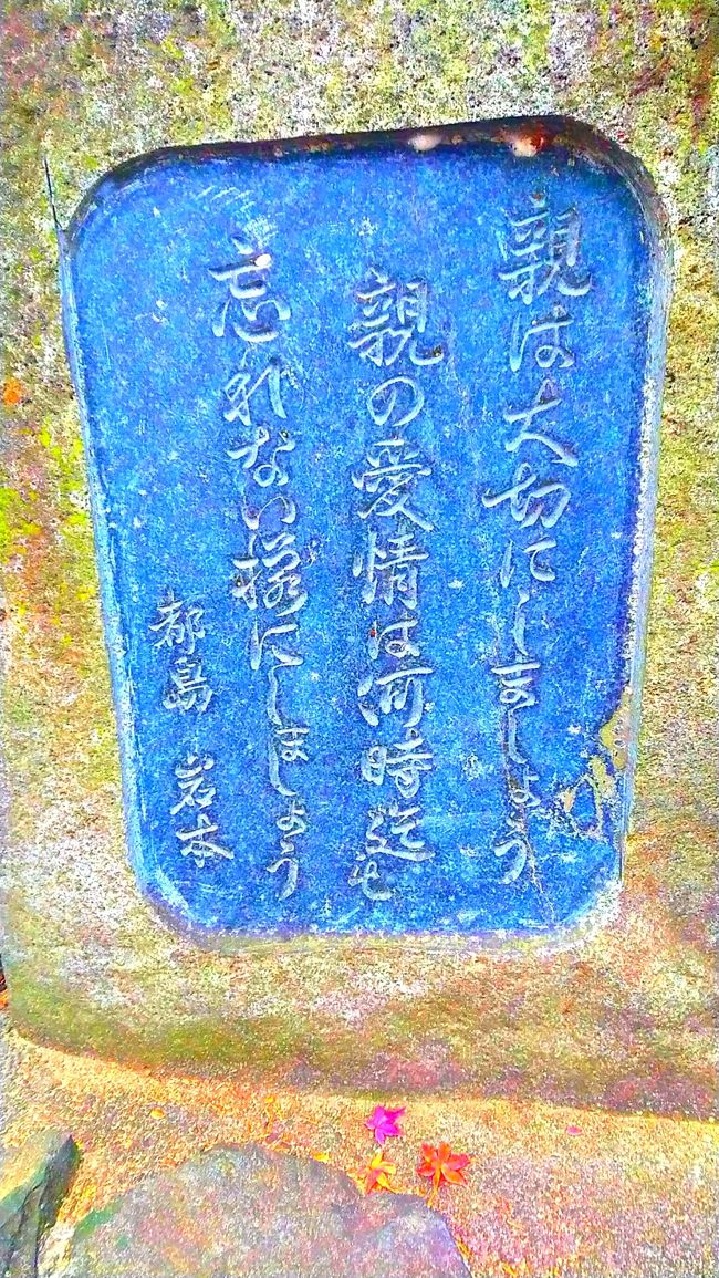 来週いつもの友達、相方と城崎温泉行くので。色々連絡取り合ってたら。そういえば、石切さんに◯◯と今週土曜行くけど、来る??ちなみに◯◯も同じ高校で山口出身。えー！東大阪、石切さん、行く…行かなあかん！って事で飛び入り参加。女３人…わちゃわちゃ喋り、初体験の占いも。石切神社、坂道多く。家帰ったら足筋がワナワナしとりますが。筋肉痛は歳をとるだけ遅れてやってくる(笑)痛くなる前に旅行記書きます。