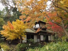 2019 横浜三渓園の紅葉、今年はどうかな？