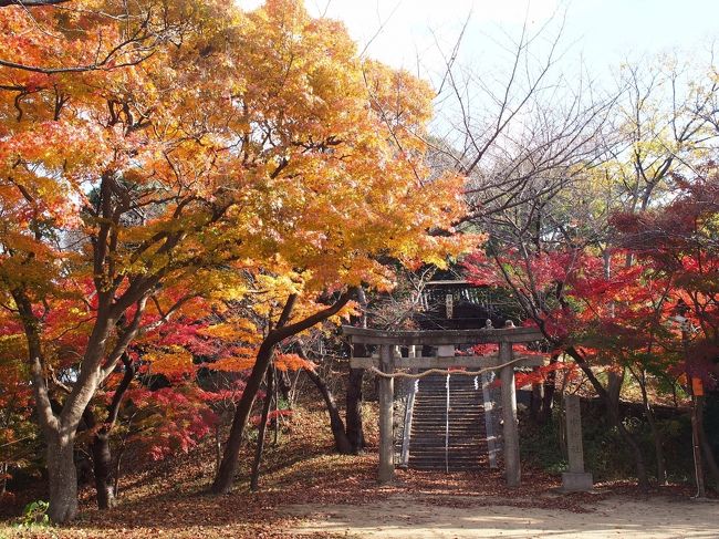 今回の旅行は人生２度目のじっくり大阪旅です。<br /><br />旅立つ前、会社の同僚から「有給はどこか行くんですか？」と訊かれたので「古墳を見に行きます！」と言ったら「？こふん・・・？？」(?_?)という顔をされてしまいました（汗）<br />巷では『歴女』という言葉が浸透し、日本刀を見に行く人やお城を見に行く女子は理解されつつありますが、古墳巡りが趣味って、まだまだハードル高いのね。。<br />あ、でも12月15日（日）にTBSの世界遺産の番組で、百舌鳥・古市古墳を放送するらしいです。歴女女優の杏さんが訪問され、大変感動したとのこと。これで世間様にも古墳の魅力が伝わってくれればいいな～<br />番組見なきゃ！！<br /><br />≪本編で巡った古墳・神社≫<br />・雄略天皇陵 → 津堂城山古墳<br />・允恭天皇陵 → 鍋塚古墳 → 澤田八幡神社 → 仲津姫命陵 → 古室山古墳 → 応神天皇陵 → 仲哀天皇陵 → 野中宮山古墳<br /><br />≪宿泊≫<br />変なホテル大阪心斎橋　素泊まり・7371円×2泊 （Booking.comより予約）<br /><br />≪往路≫　<br />12／4（水）22：15 バスタ新宿 → 6：00 大阪梅田 ＜深夜バス 千栄交通・4列シート＞（3300円）<br />≪復路≫　<br />12／7（土）11：20 京都駅八条口 → 19：40 池袋サンシャインバスターミナル ＜高速バス WILLER TRAVEL・4列シート＞（5170円）