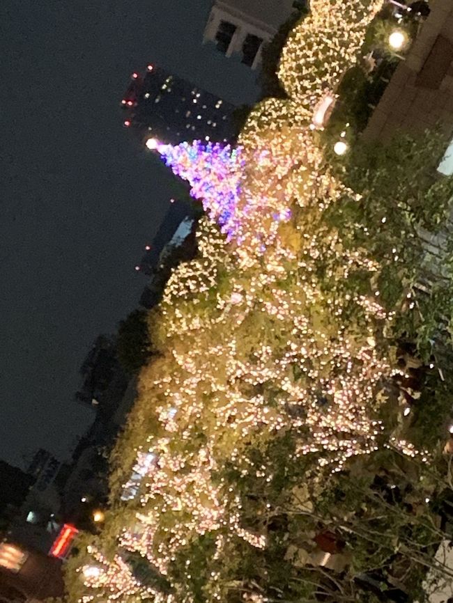 今日はどこへ行こうかな?<br /><br />昨日は博物館巡り。<br /><br />今日は令和の記念に迎賓館へ。<br /><br />そしてロマンチックなイルミネーションを<br />見に行きましょう。<br /><br />美味しい物が大好きな私達は、築地でランチもね❣️<br /><br />