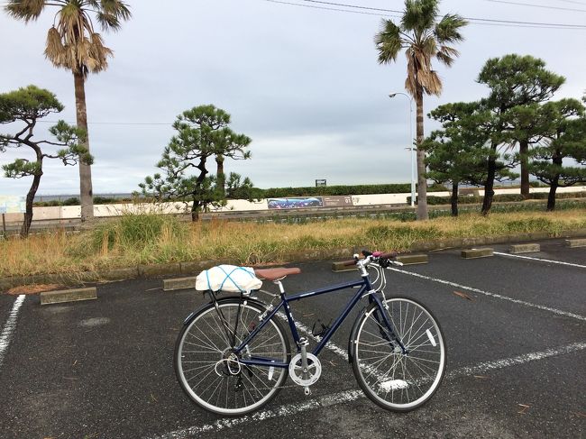 横須賀には10000mプロムナードというJR横須賀駅から観音崎までの遊歩道があります。<br />そこを自転車で楽しもう！と意気揚々と向かったのですが…