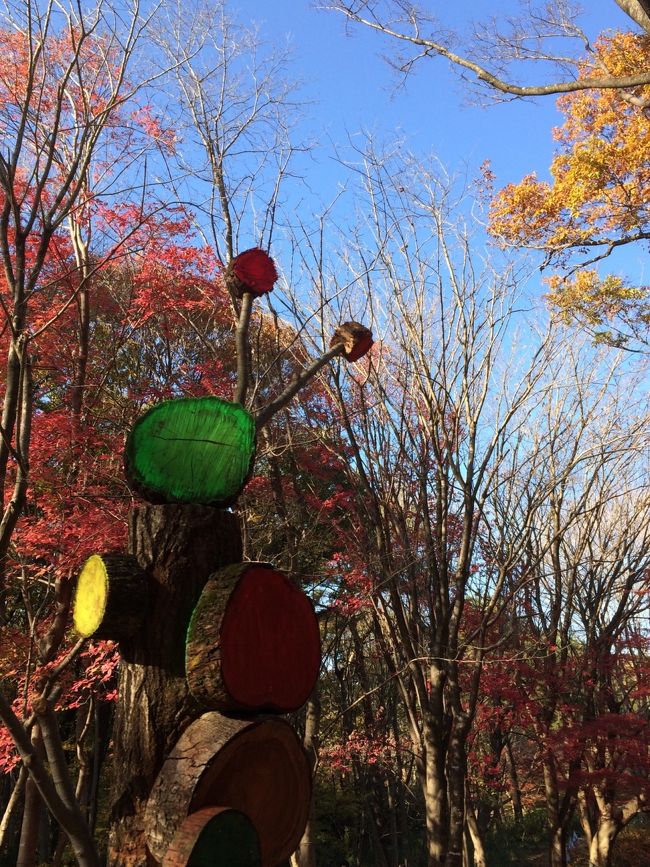 自転車でぐるり☆武蔵丘陵森林公園