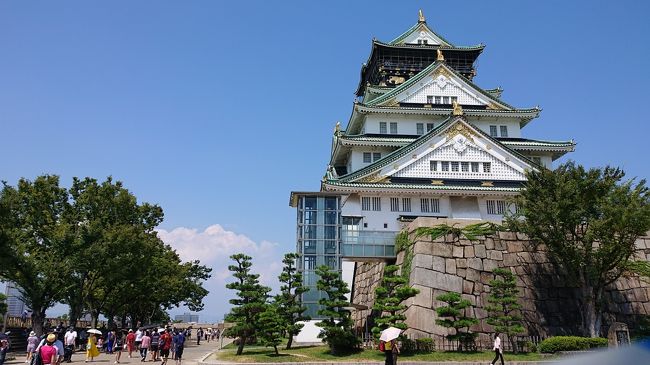 大坂旅行も明日は富山に帰るので今日が最後です。当初一番最初に観光する予定だった大阪城に行きます。今まで行ったお城の中は、木の骨組みだけで殺風景でしたが、大阪城は博物館になっていて、豊臣秀吉時代の歴史の学べます。
