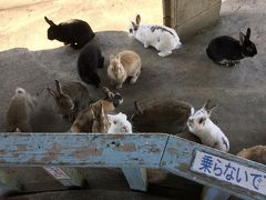 日帰り大島旅行　島だって日帰り～！