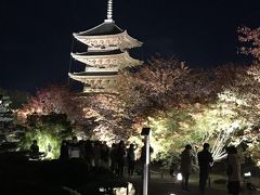 大阪泊の京都旅