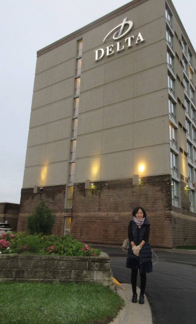 Canadaの旅も最終となりました。小雨降るスーセントマリー空港で現地のガイドさんともお別れです。<br /><br />小さな空港なので手続きも割と早く済みましたが<br /> <br />10・4　ホテル出発  8:00   手続<br />            S.M 空港発  9:55ー11:25 トロント着<br />　　　　　　　　　            13:40 トロント発ー<br />10・５　東京着 15:40<br />             東京発 18:00-19:10 大阪着 　<br /><br />ホント  大移動でした。