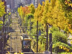都電荒川線（東京さくらトラム）沿線に綺麗に色付くイチョウ並木を見に訪れてみた