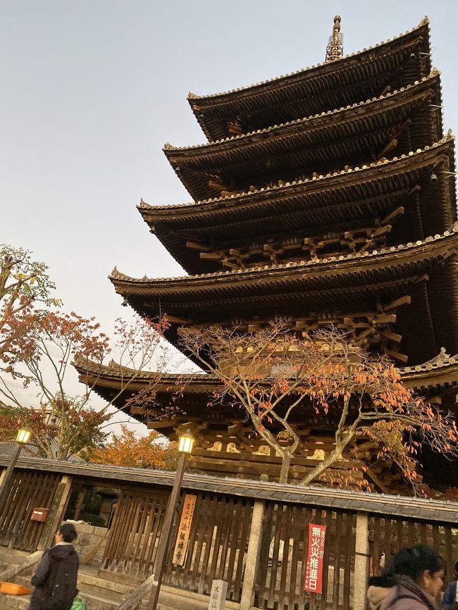 秋の京都で紅葉とアフタヌーンティーをしに行きました。一つ目の旅行記は、紅葉とカフェまでです。