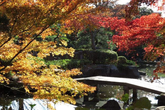 神奈川県の紅葉スポット巡り。<br />今回は、大磯にある城山公園に行ってきました。<br />旧吉田茂邸の真向かいにある山がその公園です。<br /><br />旧三井財閥別荘地の名残を残す城山の散策路には、橋あり滝あり、何よりも展望台から見える富士山や箱根連山、そして湘南の海…<br />日本庭園・竹林の紅葉は本当に素晴らしい景色です。<br /><br /><br />