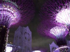 ルックJTB　うっとり夜景シンガポール　「シンガポールの名物夜景スポットから眺める」　２日目　その４