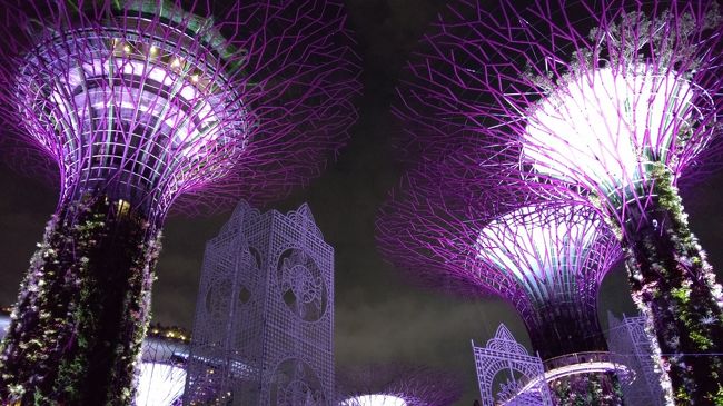ルックJTB うっとり夜景シンガポール 「シンガポールの名物夜景スポットから眺める」でのシンガポール旅行記です。<br /><br />日程(パンフレットでは)<br /> <br />2日目 日中は自由行動 <br /> 17:30:ホテル出発 <br /> 夕食はチキンライス <br /> 夜景ハンター(夜の市内観光)<br /> オーチャード通り(車窓)<br /> ガーデンズ・バイ・ザ・ベイ(下車)、<br /> シンガポールフライヤー(乗車)、<br /> マーライオン公園(下車)、<br /> ガーデンズ・バイ・ザ・ベイで光と音楽のショー<br /> 「ガーデン・ラプソディー」鑑賞<br /> 21:30:ホテル着