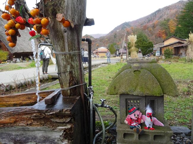 魅惑の飛騨牛と 秋の絶景を存分に味わうヨ 白川郷編 37 白川郷 岐阜県 の旅行記 ブログ By しちにのに 富 士 河 口 湖 編 さん フォートラベル 魅惑の飛騨牛と 秋の絶景を存分に味わうヨ 白川郷編 37 白川郷 岐阜県 の旅行記 ブログ By しちにのに 富 士 河 口 湖 編 さん フォートラベル