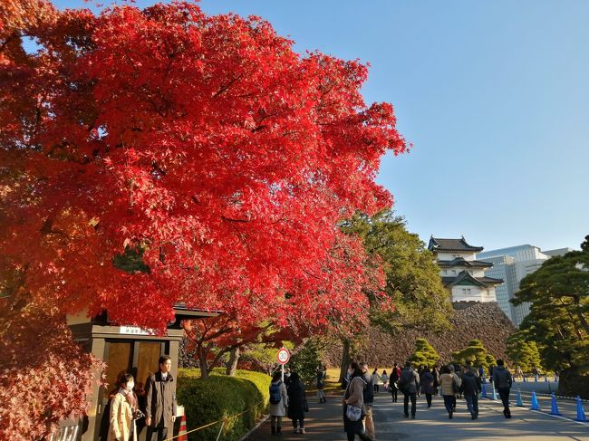 ’１９　皇居さんぽ１　大嘗宮一般参観（坂下門～富士見櫓）