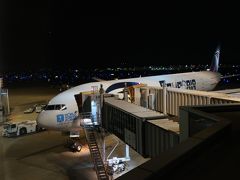 未知のエジプト航空ビジネス乗っちゃいました('_';)』カイロ