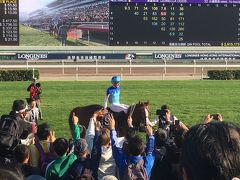 香港で競馬観戦　～Hong Kong International Races 2019 ～