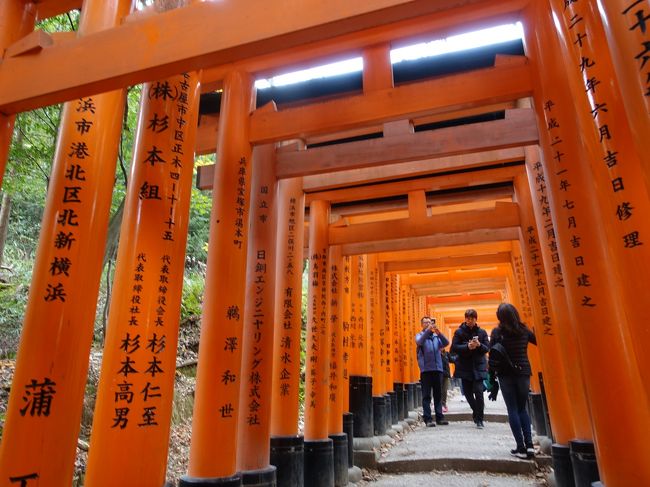 父のお骨収めで東本願寺へ<br />日帰りなので観光なしの予定だったけど<br />初めて伏見稲荷大社へ行ってみた。<br />「鳥居がずらーっと並んでるところが有名だよ」と<br />確かに映えポイントとしてもいいのかもね。<br />ところがどっこい、<br />鳥居よりも目立つのが外国人の多さ。<br />まるで数少ない日本人の私たちが外人だよ！！！！<br /><br />今じゃ情緒ある京都の町並みを覗くことは難しいのね。<br />”日本人の京都離れ”<br />解るような気がした。