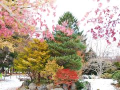 豊平公園の冬景色