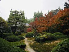 京都　12月初旬の紅葉