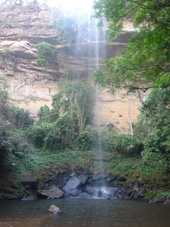 (45)2020年1月(7)ギニア(陸路国境ギニアから キンディア(花嫁の滝) マムー ダラバ(フータジャロン山地ハイキング 村訪問))