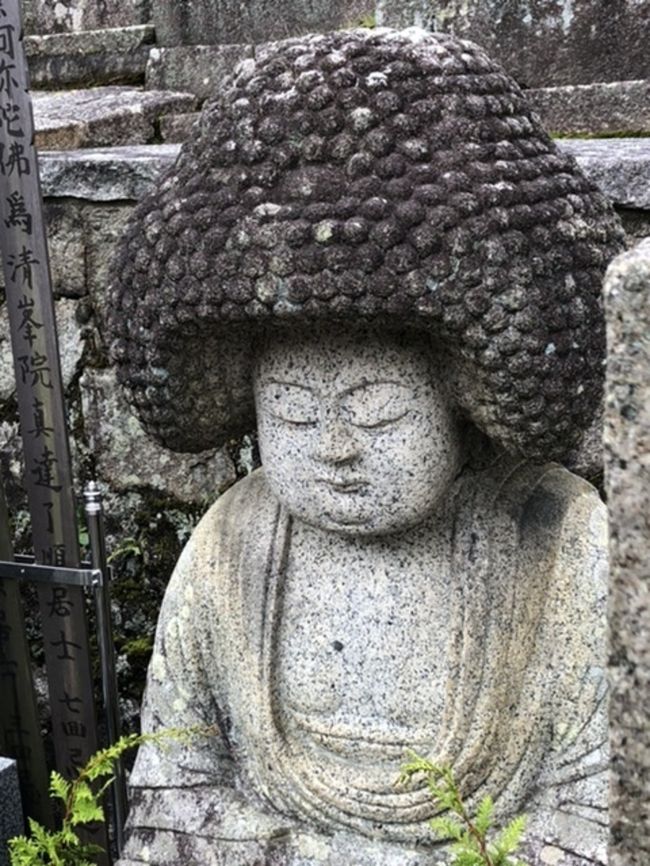 １１月末　うさぎの寺と金戒光明寺（黒谷さん）