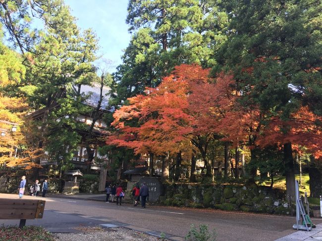 福井旅その②です