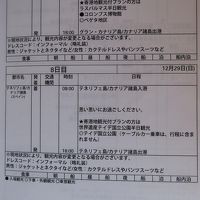 テネリフェ島　クィーンビクトリアカナリア諸島クルーズ　６－０　12月2９日(八日目)　