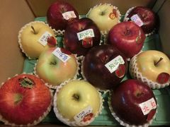 ANAマイルで行く函館青森女ひとり旅②・・青森編　初めてのリンゴの美味しさに驚く2017.10