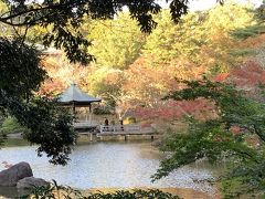 成田公園の紅葉