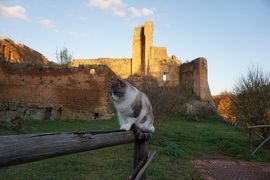 バスで巡るトスカーナ 1 ～Firenze から Siena～