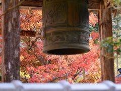 丹波市の紅葉