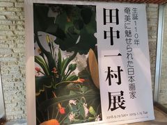 冬の奄美大島へ Vol.1[名瀬エリア編](2019年1月)
