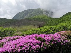 九重キリシマツツジと法華院温泉（ロッジ）