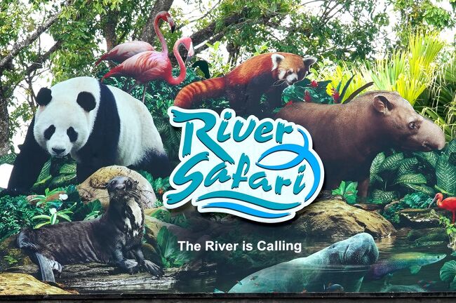 動物ずくめのシンガポールひとり旅 3 リバーサファリ アマゾンの部 シンガポール シンガポール の旅行記 ブログ By しろんさん フォートラベル 動物ずくめのシンガポールひとり旅 3 リバーサファリ アマゾンの部 シンガポール シンガポール の旅行記 ブログ By しろんさん フォートラベル
