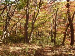 紅葉と袋田の滝を見に月居山に登りました