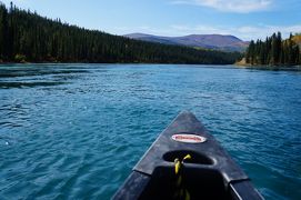 夏のユーコンを満喫 オーロラ・紅葉・カヌー・ゴールドラッシュ跡 (Fascinating wildness, Yukon)