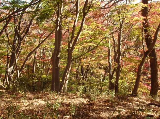 山歩き 茨城県大子町 月居山 標高404M(標高差300M) 全行程 4時間36分 <br />袋田第二駐車場~(55分)観音堂の鐘楼~(16分)月居山山頂~(14分)観音堂の鐘楼~(50分)袋田の滝~(15分)駐車場 <br />「日時」2018年11月14日 快晴<br />「アクセス」池袋駅よりレンタバスで常磐道を走り、常磐ICでおり、袋田第二駐車場に向かう(所要3時間<br />