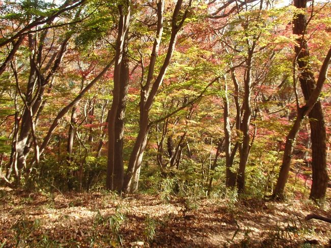  山歩き 茨城県大子町　月居山　標高404M(標高差300M)　全行程　4時間36分　　<br />袋田第二駐車場～(55分）観音堂の鐘楼～(16分）月居山山頂～(14分）観音堂の鐘楼～(50分）袋田の滝～(15分)駐車場 <br />「日時」2018年11月14日　快晴<br />「アクセス」池袋駅よりレンタバスで常磐道を走り、常磐ＩＣでおり、袋田第二駐車場に向かう（所要3時間<br />