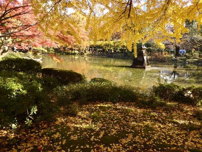 先日、東京へ紅葉を観に行って来ました。<br /><br /> 去年は忙しくて紅葉どころではなかったので、今年は見るぞ!と秋を楽しみにしていました。<br />しかし、紅葉シーズン開始の先月から仕事復帰をして、なかなか休みの日に遠出をする気力が無くなってしまいました。<br /><br />なのでぶらっと東京の日比谷公園に出かけてきました。