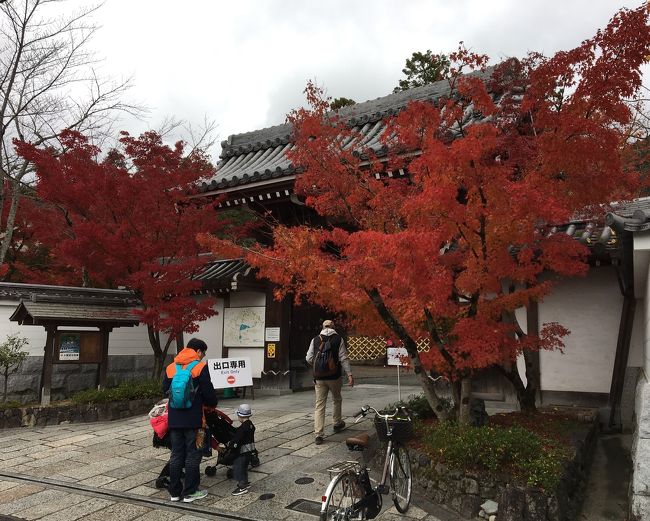 久々の京都、最終日。哲学の道を銀閣寺まで！