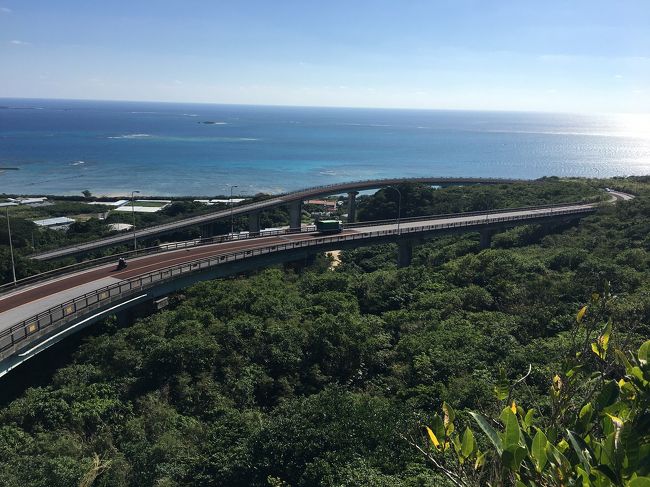 毎年恒例12月の沖縄　息子2人旅<br />３日目