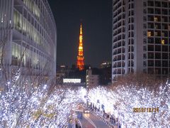 東京　＜芝公園・六本木＞クリスマスマーケット＆＜けやき坂＞イルミネーション