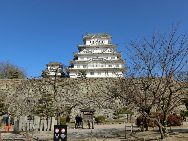 来年は関西にいないかもと思い、姫路へ行ってきました。