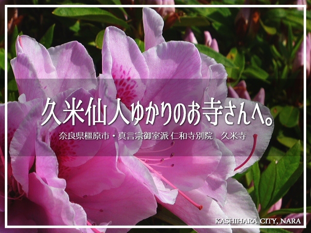 奈良県は橿原市の久米寺さん。<br />橿原ではちょっと知られたお寺さんです。<br /><br />お天気も良く、絶好のお散歩日和となりました(〃&#39;▽&#39;〃)<br /><br />▽使用機材：Panasonic LUMIX DMC-FP1