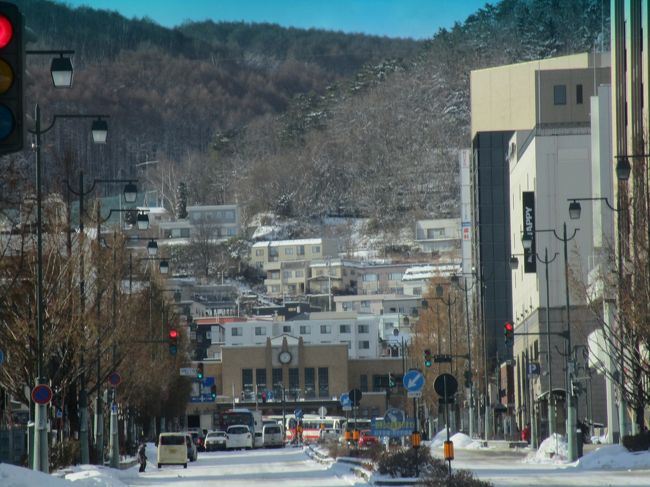 今年の北海道は二度目ですが冬の小樽は久しぶりです。週間天気予報は雪だけれど、パウダースノーなので降雪はあまり気にしません。今回の旅は旅行社企画の「ミステリーツアー」です。宿泊等がランクアップされていましたのでとても楽しめました。東京より北の方角で防寒対策もして下さいとのことです。旅行会社は一生懸命のミステリー企画で、旅程の日程書には○○の観光・△△のSクラスホテルに宿泊、▲▲の体験などと記していましたが、エッヘッヘ~~~・・・全部のミステリー答えが正解出来ました。勿論のこと誰にも言いません・添乗員にはチラーッと。<br /> 週間天気予報は悪かったのに、降雪も、積雪も。残雪も、無くて、暖かい北海道の旅になりました。<br /> 新千歳空港着は、15:05時で「小樽」まで移動すると夜になります。観光の①は老舗の「田中酒造・亀甲蔵」でした。写真を撮る時間が無かったのでwebから拝借。見学後にSクラスの「小樽グランドパークホテル」の宿泊です。このどちらもピンポーンの正解でした。<br /><br />表紙の写真は JR「小樽」・ (撮影日は翌日の観光バス走行中・車窓から)